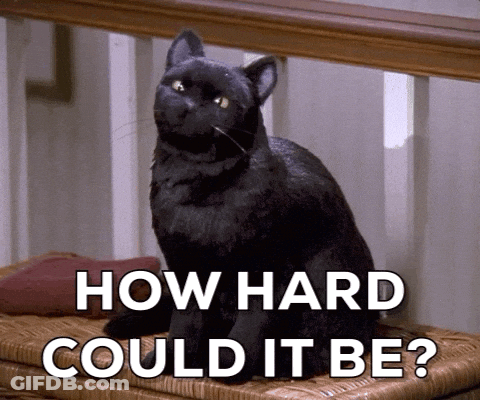 A Black Cat Is Sitting On A Wicker Bench With The Words How Hard Could It Be Written Below It GIF