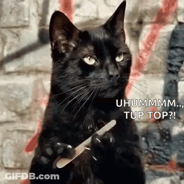 A Black Cat Is Sitting On Its Hind Legs Holding A Nail File . GIF