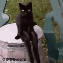 A Black Cat Is Sitting On Top Of A Barrel With Its Legs Crossed . GIF