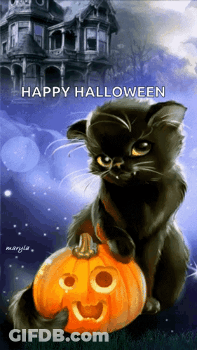 A Black Cat Is Sitting On Top Of A Carved Pumpkin With The Words Happy Halloween Written Below It GIF