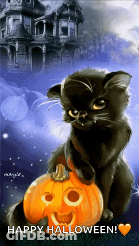 A Black Cat Is Sitting On Top Of A Carved Pumpkin With The Words Happy Halloween Written Below It GIF