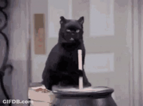 A Black Cat Is Sitting On Top Of A Cauldron Holding A Stick . GIF