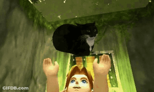 A Black Cat Is Sitting On Top Of A Girl 'S Head GIF