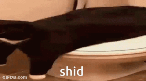 A Black Cat Is Sitting On Top Of A Toilet With The Word Shid Written On The Bottom . GIF