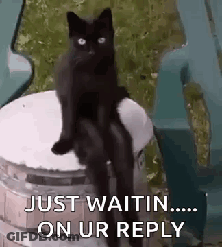 A Black Cat Is Sitting On Top Of A Wooden Barrel And Waiting For A Reply . GIF