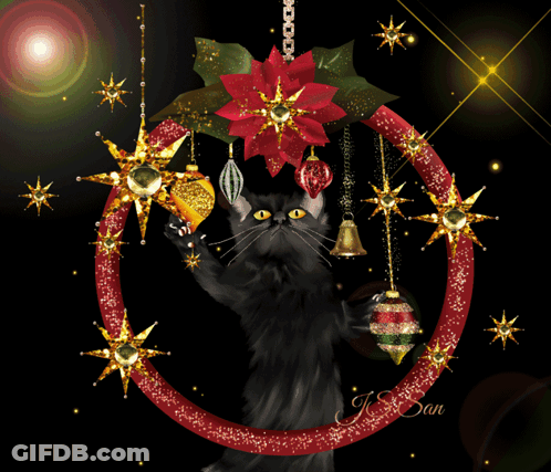 A Black Cat Is Standing In A Christmas Wreath With Gold Stars GIF