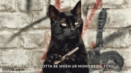 A Black Cat Is Standing In Front Of A Brick Wall Holding A Nail File . GIF