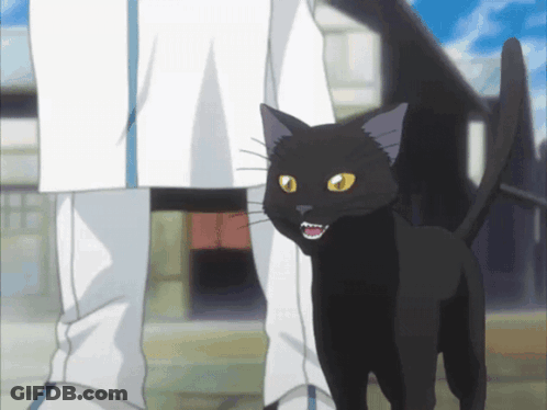 A Black Cat Is Standing Next To A Person In White Pants GIF