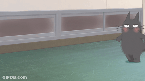 A Black Cat Is Standing On A Green Floor In Front Of A Wall GIF