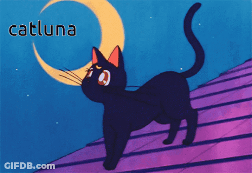 A Black Cat Is Standing On A Roof With A Crescent Moon In The Background GIF