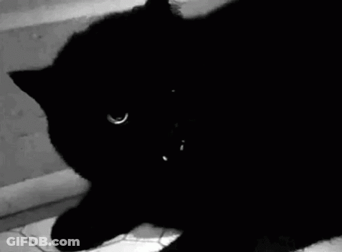 A Black Cat Is Standing On A Tiled Floor With Its Mouth Open And Looking At The Camera . GIF