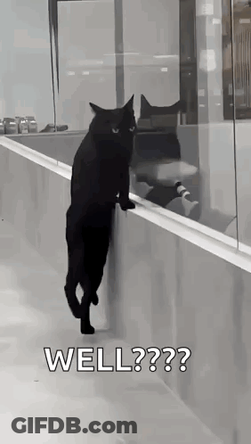A Black Cat Is Standing On Its Hind Legs On A Railing And Looking Out Of A Window . GIF