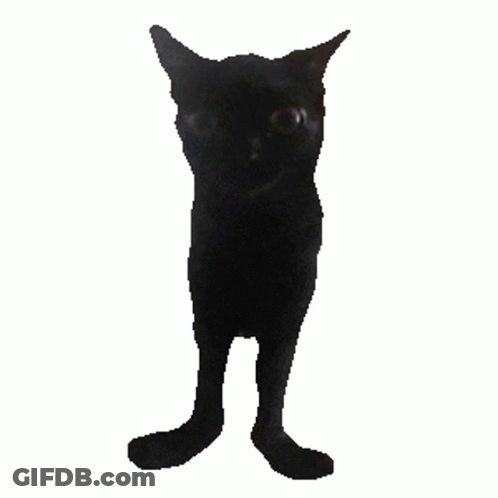 A Black Cat Is Standing On Its Hind Legs With A White Background GIF