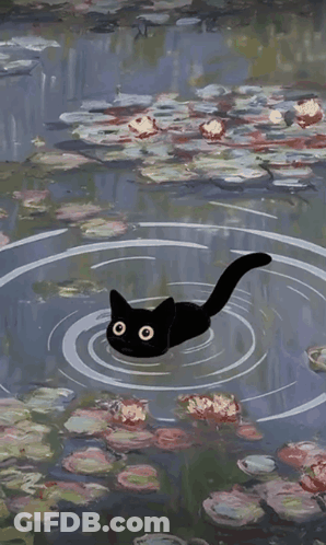 A Black Cat Is Swimming In A Pond Surrounded By Lily Pads GIF