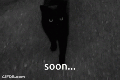 A Black Cat Is Walking In The Dark And The Words Soon Are Below It GIF