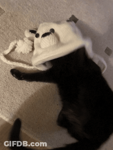 A Black Cat Is Wearing A White Hat With Ears On It GIF