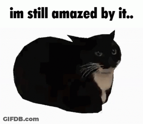 A Black Cat Laying Down With The Words " Im Still Amazed By It " Above It GIF