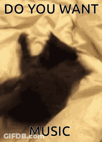 A Black Cat Laying On A Bed With The Words " Do You Want Music " Above It GIF