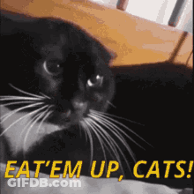 A Black Cat Laying On A Bed With The Words Eat Em Up Cats In Yellow Letters GIF