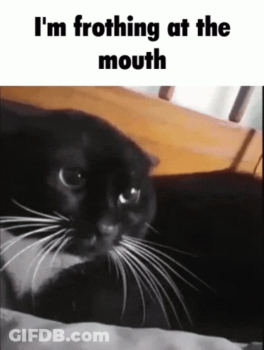 A Black Cat Laying On A Bed With The Words I 'M Frothing At The Mouth Below It GIF