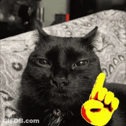 A Black Cat Laying On A Couch With A Yellow Finger Pointing Up GIF