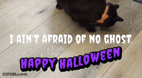 A Black Cat Laying On A Wooden Floor With The Words " I Ain 'T Afraid Of No Ghost " GIF