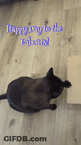 A Black Cat Laying On The Floor With The Words Happy Day To The Laborers Written Above It GIF