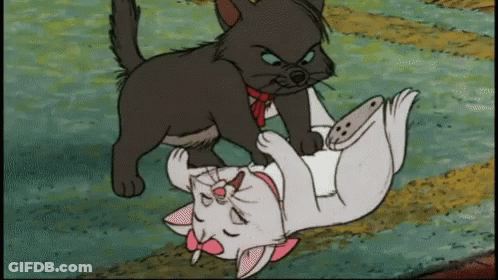 A Black Cat Laying On Top Of A White Cat With A Pink Bow GIF