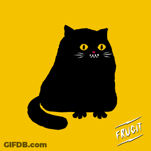 A Black Cat On A Yellow Background With The Word Frucit GIF