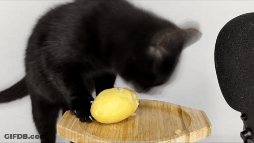 A Black Cat Reaches For A Lemon On A Wooden Cutting Board GIF
