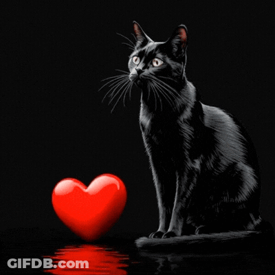 A Black Cat Sits Next To A Red Heart On A Black Background GIF