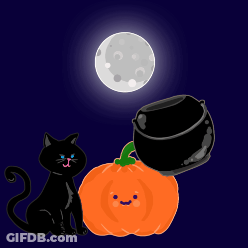 A Black Cat Sits Next To A Trick Or Treat Can GIF