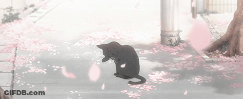 A Black Cat Sits On A Sidewalk Surrounded By Pink Flowers GIF