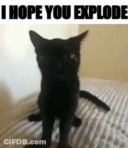 A Black Cat Sitting On A Bed With The Words " I Hope You Explode " Below It GIF