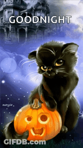 A Black Cat Sitting On Top Of A Carved Pumpkin With The Words Goodnight Written Above It GIF