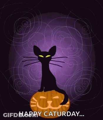 A Black Cat Sitting On Top Of A Pumpkin With The Words Happy Saturday GIF