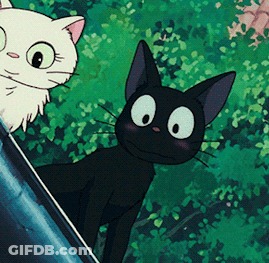 A Black Cat Standing Next To A White Cat In A Cartoon GIF
