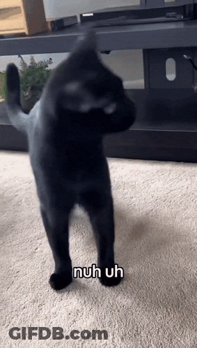 A Black Cat Standing On Its Hind Legs With The Words Nuh Uh Written On Its Paws GIF