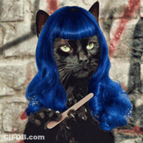 A Black Cat Wearing A Blue Wig Holds A Nail File GIF