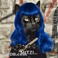 A Black Cat Wearing A Blue Wig Is Holding A Brush And Says Mitzi . GIF