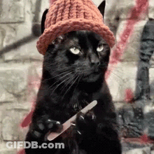 A Black Cat Wearing A Red Hat Is Holding A Nail File . GIF