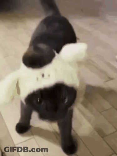 A Black Cat Wearing A White Hat And Ears Is Walking On A Tiled Floor . GIF