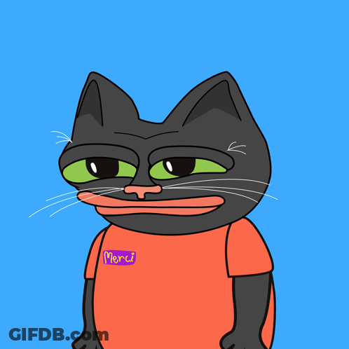 A Black Cat Wearing An Orange Shirt That Says Merci On It GIF