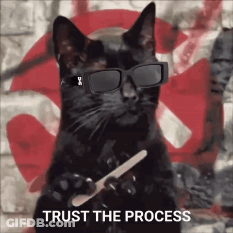 A Black Cat Wearing Sunglasses And Holding A Nail File With The Words Trust The Process Behind It GIF