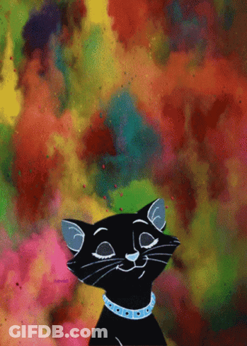 A Black Cat With A Blue Collar Is Smiling With A Colorful Background Behind It GIF