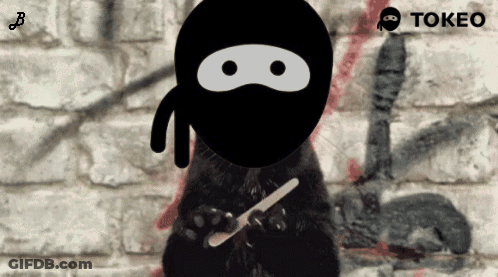 A Black Cat With A Ninja Mask On Holding A Knife In Front Of A Brick Wall GIF