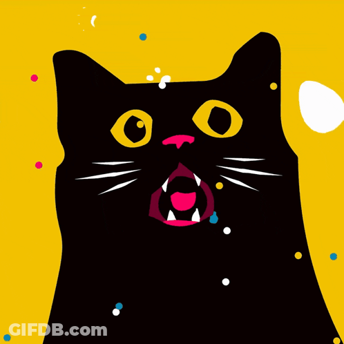 A Black Cat With A Surprised Look On His Face GIF