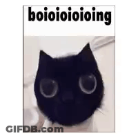 A Black Cat With Big Eyes Is Sitting On A White Blanket . GIF