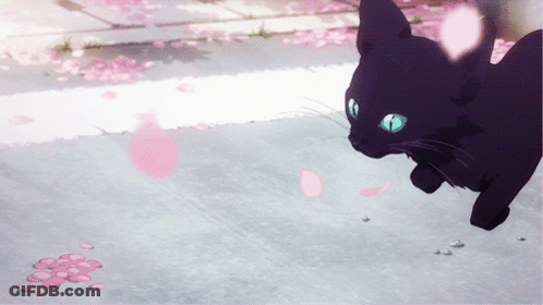 A Black Cat With Blue Eyes Is Running On A Sidewalk Surrounded By Pink Petals GIF