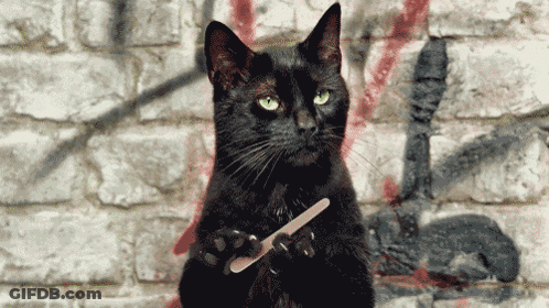 A Black Cat With Green Eyes Is Holding A Nail File In Front Of A Brick Wall GIF